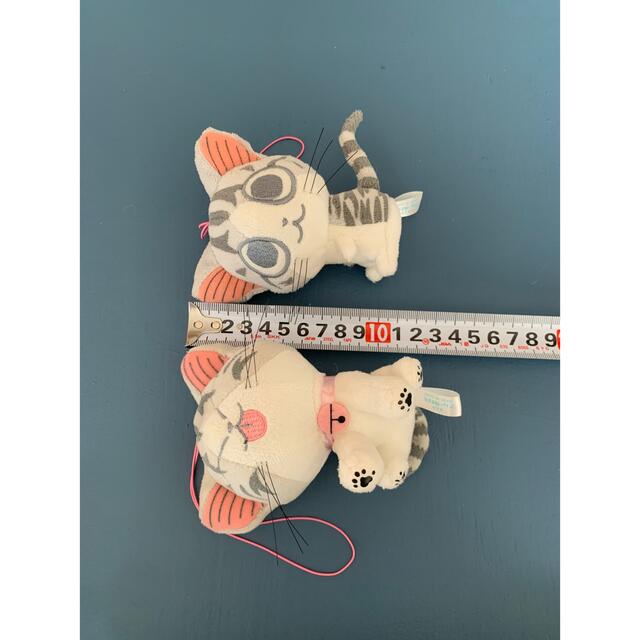 チーズスイートホーム　猫　2匹セット エンタメ/ホビーのおもちゃ/ぬいぐるみ(キャラクターグッズ)の商品写真