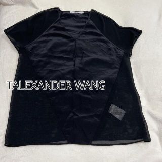 アレキサンダーワン(Alexander Wang)のTALEXANDER WANG メッシュTシャツ(Tシャツ(半袖/袖なし))