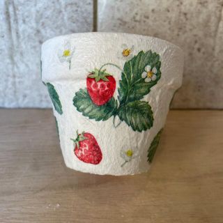 リメイク鉢】苺 ホワイト - www.leschoucasgourmands.org 新品登場 いちごさまご購入品 リメイク鉢4号 Paris フラワー/ガーデン