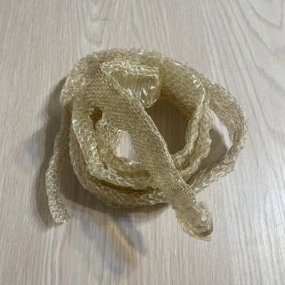 蛇の抜け殻(爬虫類/両生類用品)