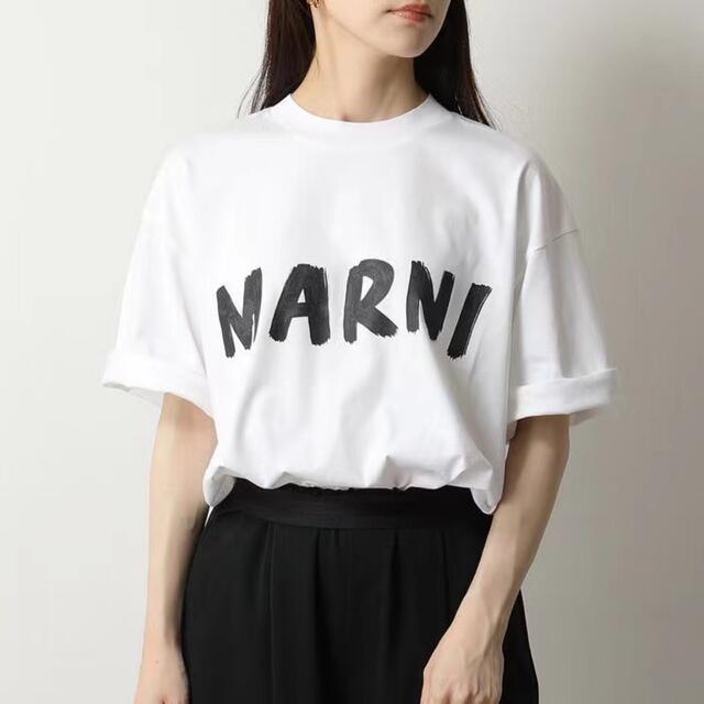 MARNI マルニTシャツ richproducts.com.au