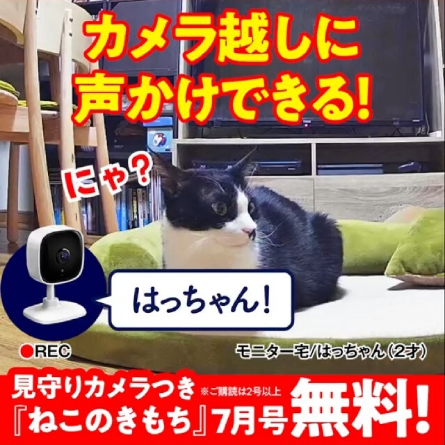 キャット ドッグお留守番カメラ スマホ/家電/カメラのスマホ/家電/カメラ その他(防犯カメラ)の商品写真