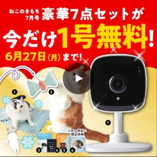 キャット ドッグお留守番カメラ(防犯カメラ)