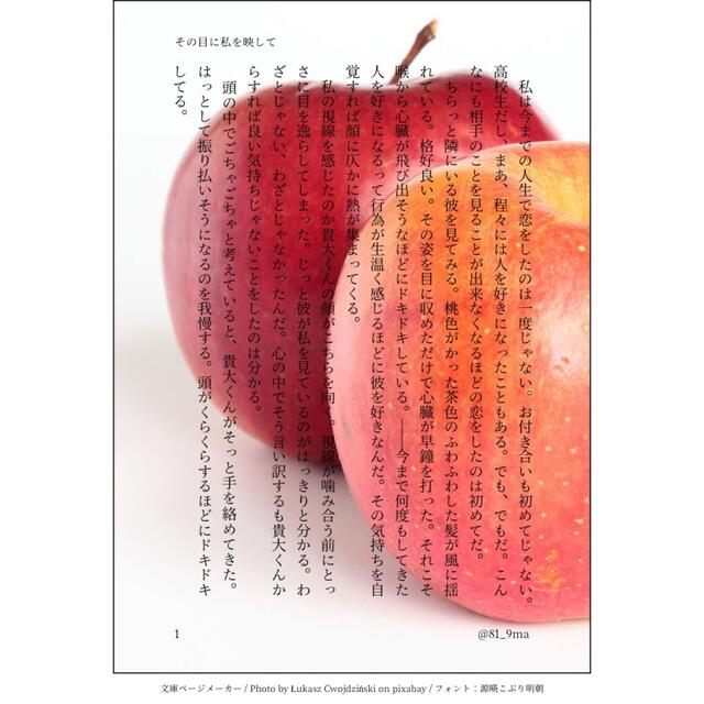 小説、夢小説オーダー募集 | www.plastitecgroup.com