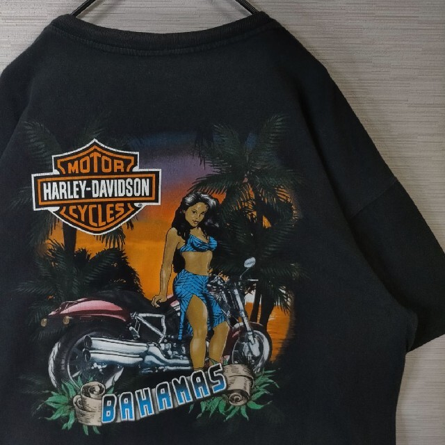 メンズ激レア 5XL ハーレーダビッドソンHARLEYDAVIDSON Tシャツ