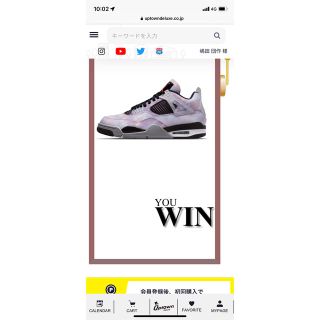 ナイキ(NIKE)のナイキ エアジョーダン4 "アメシスト ウェーブ" (スニーカー)