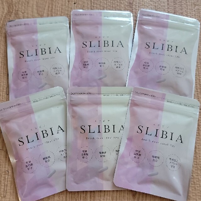 スリビア SLIBIA 乳酸菌酪酸菌 30粒 6袋セット rolshow.com.br