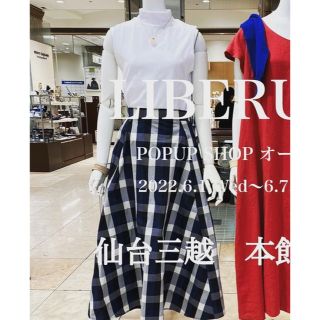 アナイ(ANAYI)の♡明日まで出品♡新品✨リベラス✨トップス＆スカート　セット♡(ひざ丈スカート)