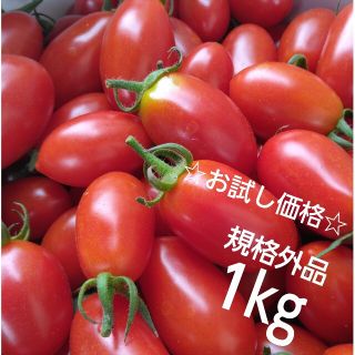 ☆お試し価格☆　ミニトマト　アイコ　1㎏(野菜)