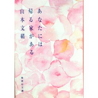 あなたには帰る家がある(文学/小説)