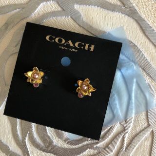 コーチ(COACH)のcoach ( ピアス ワイルドフラワー ) 未使用(ピアス)