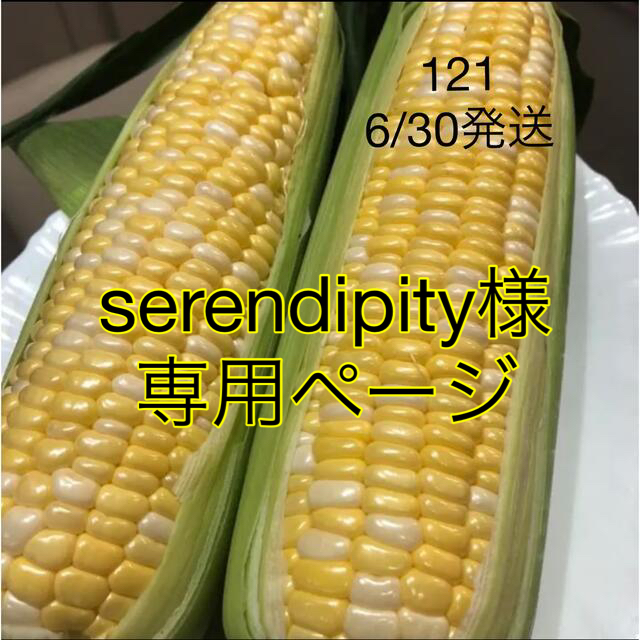 セレンディピティ様専用ページ-