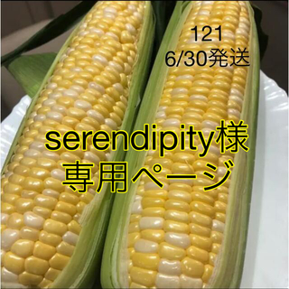 121 serendipity様専用ページ(野菜)