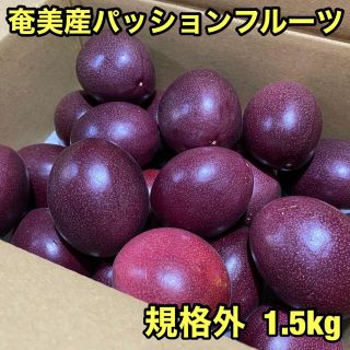 奄美産パッションフルーツ規格外1.5キロ(フルーツ)