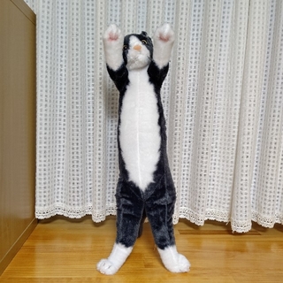 たっちいZoo にゃんこ (黒白ハチワレ猫)(ぬいぐるみ)