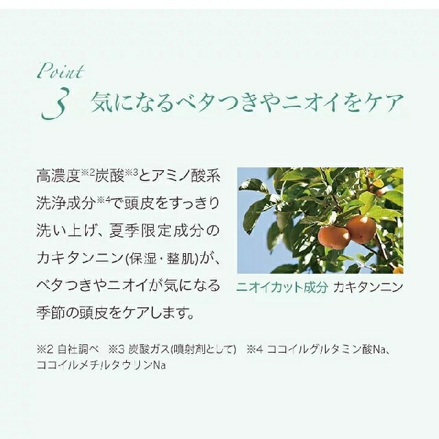【専用】ルメント♪夏季限定シトラスミント 6