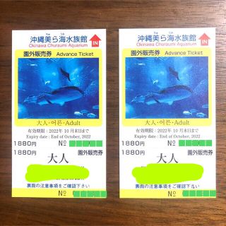 美ら海水族館　大人2枚　入場券　ペアチケット　2022年10月末まで　ちゅらうみ(水族館)