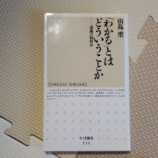 「わかる」とはどういうことか 認識の脳科学(その他)