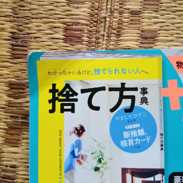 サンキュ! 2022年 08月号 エンタメ/ホビーの雑誌(生活/健康)の商品写真