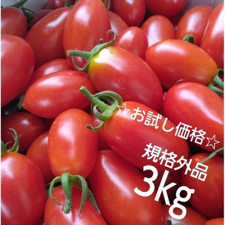 ☆お試し価格☆　ミニトマト　アイコ　3㎏　規格外品(野菜)