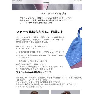 Hermes - HERMES(エルメス) アスコットタイ ✨未使用品✨の通販 by