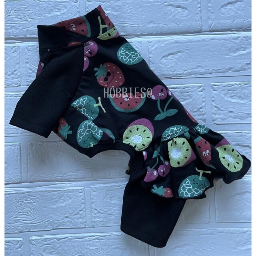 イタグレ服 フルーツ🍓🍉スカート付きロンパースSSサイズ ハンドメイドのペット(ペット服/アクセサリー)の商品写真
