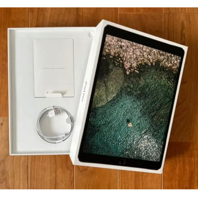 ipad pro 9.7 セルラー simフリー