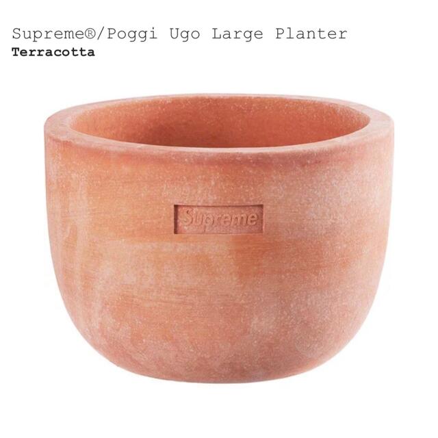 Supreme Poggi Ugo Large Planterハンドメイド