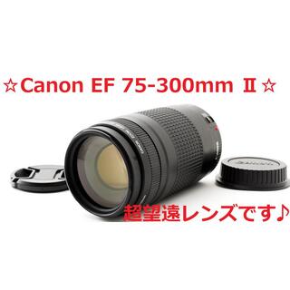 Canon - #4263 良好♪☆お買い得‼☆ Canon EF 75-300mm Ⅱ