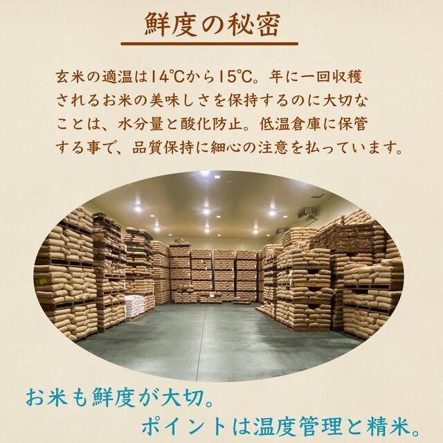 【残り3セット】極小粒砕米 袋込25kg 鳥のえさ 飼料 くず米 お得 安い 食品/飲料/酒の食品(米/穀物)の商品写真