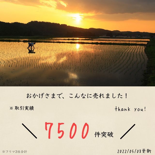 【残り3セット】極小粒砕米 袋込25kg 鳥のえさ 飼料 くず米 お得 安い 食品/飲料/酒の食品(米/穀物)の商品写真