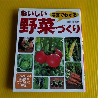 ●  「おいしい野菜づくり」  ●(趣味/スポーツ/実用)