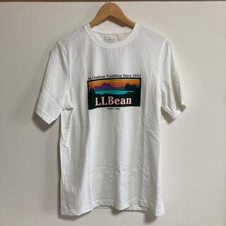エルエルビーン(L.L.Bean)のエルエルビーン　Tシャツ　Mサイズ(Tシャツ/カットソー(半袖/袖なし))