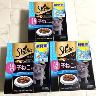マース(MARS)のシーバ　デュオ　猫　フード　ドライフード　キャットフード　餌　子猫　総合栄養食(ペットフード)
