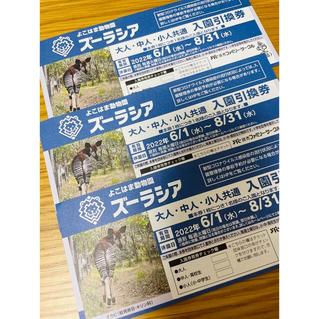ズーラシア　動物園　入園引換券　3枚 チケットの施設利用券(動物園)の商品写真