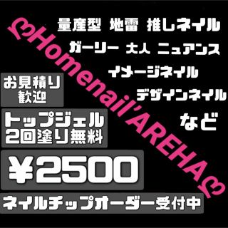 ✧︎ネイルチップオーダー受付中✧︎量産型 地雷 ゆめかわ 推しネイル ゴシック ハンドメイドのアクセサリー(ネイルチップ)の商品写真