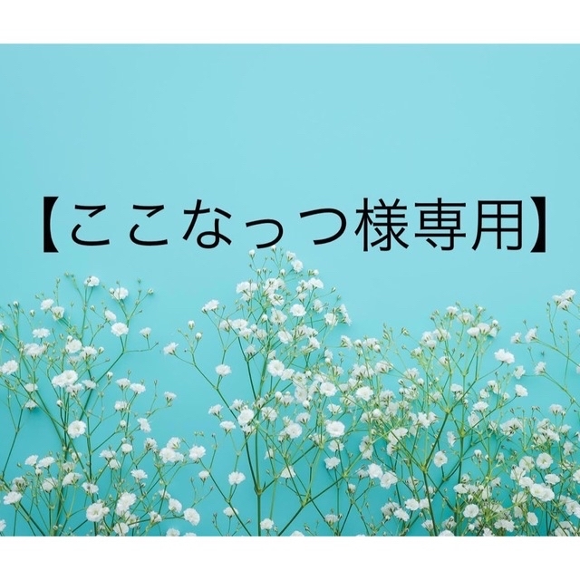 ここなっつ様専用】の通販 by C's mart's shop|ラクマ