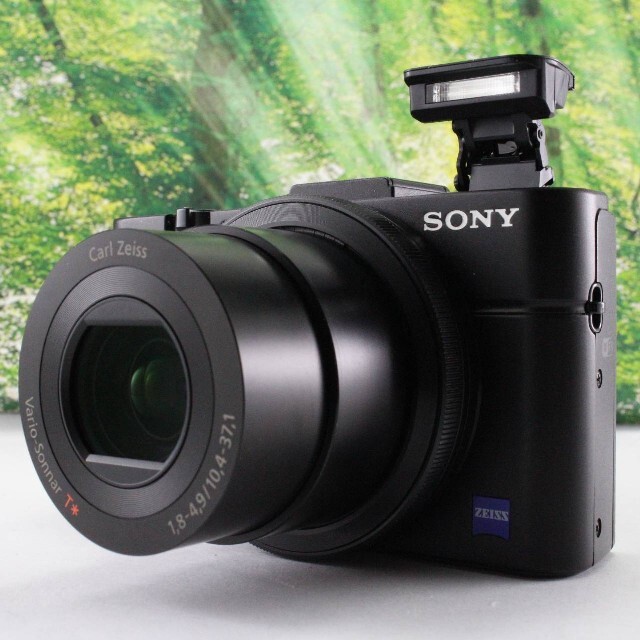 ソニー デジタルカメラ DSC-RX100M2