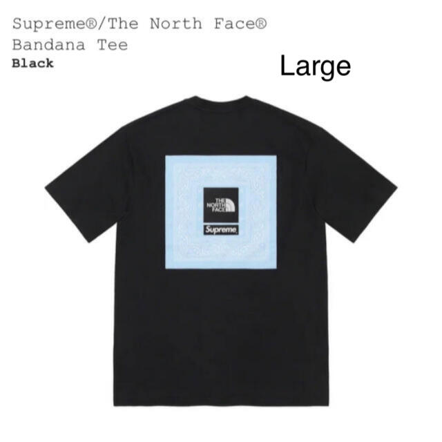 Supreme The North Face Bandana Tee黒L