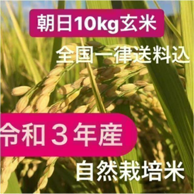 特殊　重量：10kg　：自然栽培　1000円オフ6月末まで　令和3年度産/朝日(玄米)　米/穀物