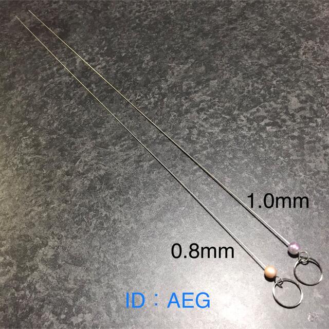 神経締め★0.8mm 1.0mm 全長約48cm 2本セット スポーツ/アウトドアのフィッシング(その他)の商品写真