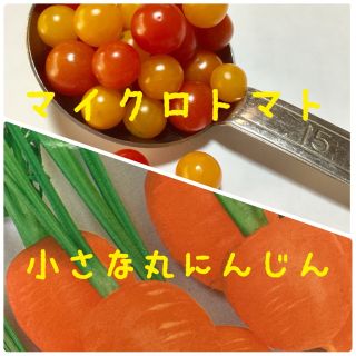 マイクロトマト 種 (赤色 ・黄色)・小さな丸にんじんの種(その他)