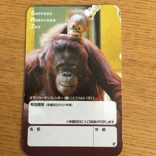 【円山動物園】年間パスポート(その他)