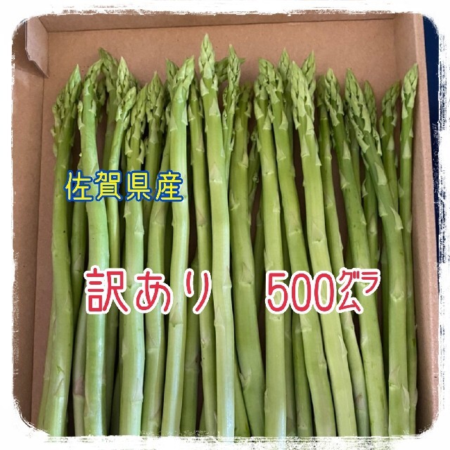 訳あり　グリーンアスパラガス　500㌘ 食品/飲料/酒の食品(野菜)の商品写真