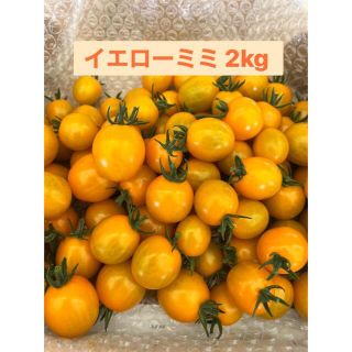 ミニトマト トマト 2kg  山形産  イエローミミ(野菜)