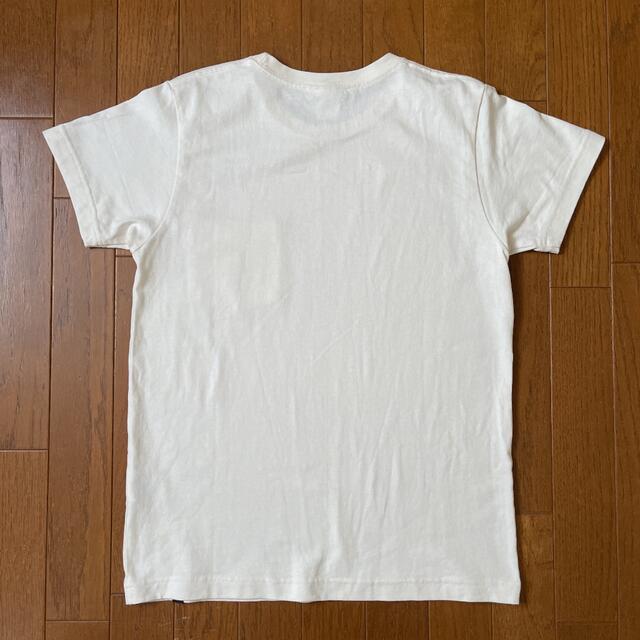ノースフェイス　Tシャツ　M   アルペン 1