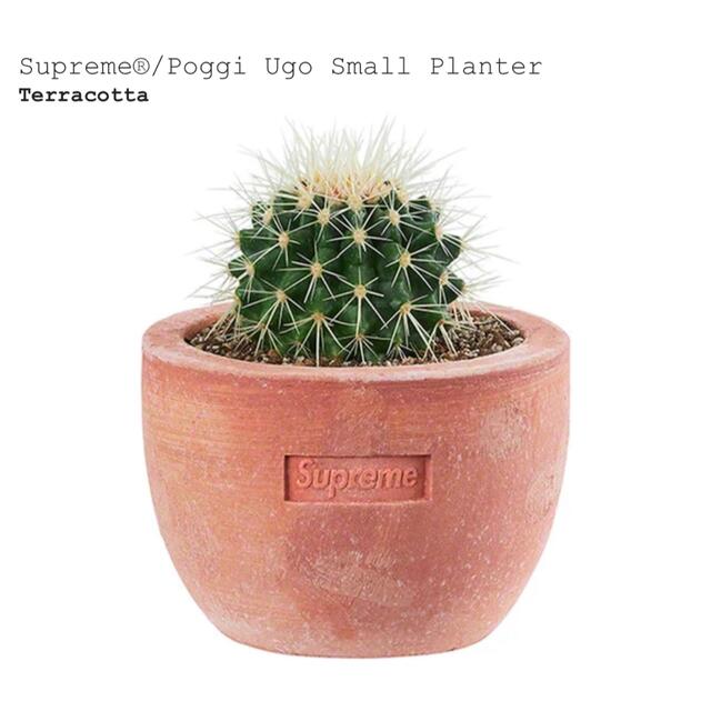 Supreme Poggi Small  Planter Terracotta