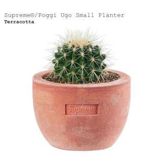 シュプリーム(Supreme)のSupreme / Poggi Ugo Small Planter(プランター)