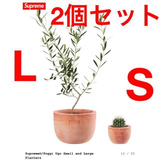 Supreme / Poggi Ugo Large Planter 植木鉢