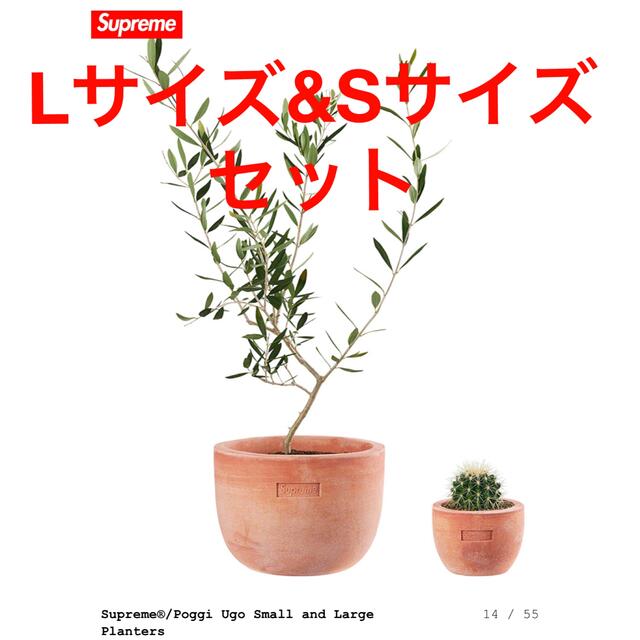 Supreme / Poggi Ugo Large Planter 植木鉢